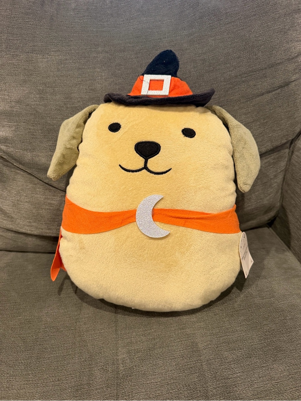 Dog Witch Plush Halloween Pillow Target Bullseye NWT